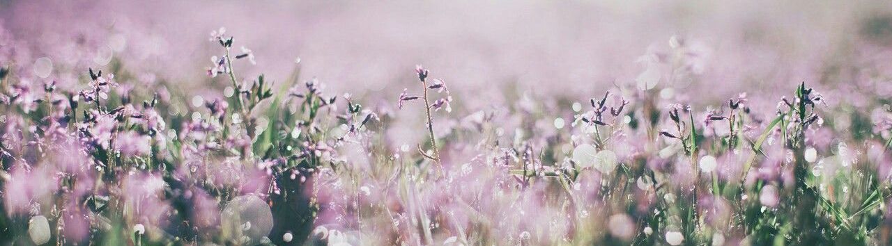 sendflower.net - Международная доставка цветов